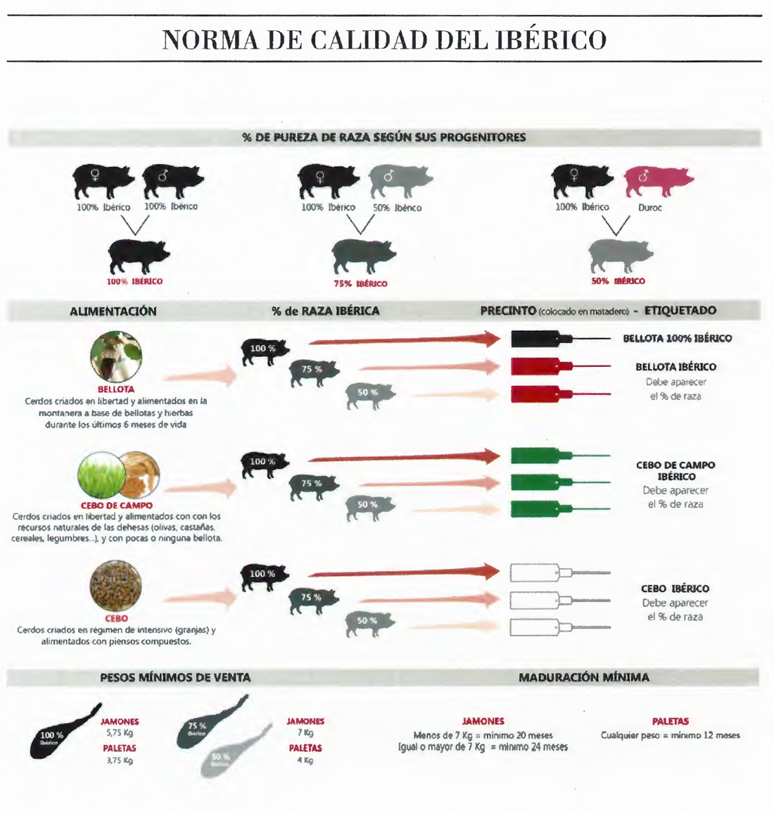 Resumen De La Norma De Calidad Del Cerdo Ib rico Ib ricos V ctor resumen-de-la-norma-de-calidad-del-cerdo-ib-rico-ib-ricos-v-ctor