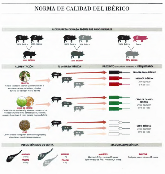 Resumen de la Norma de Calidad del Cerdo Ibérico